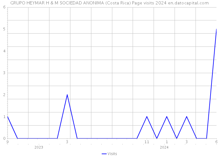 GRUPO HEYMAR H & M SOCIEDAD ANONIMA (Costa Rica) Page visits 2024 