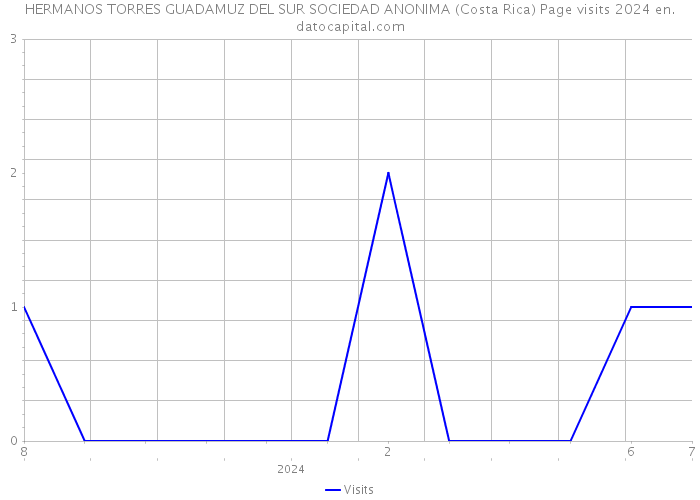 HERMANOS TORRES GUADAMUZ DEL SUR SOCIEDAD ANONIMA (Costa Rica) Page visits 2024 