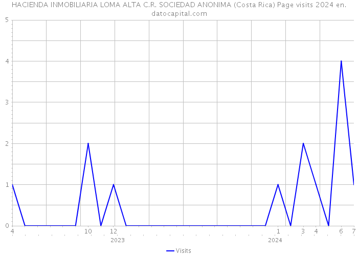 HACIENDA INMOBILIARIA LOMA ALTA C.R. SOCIEDAD ANONIMA (Costa Rica) Page visits 2024 