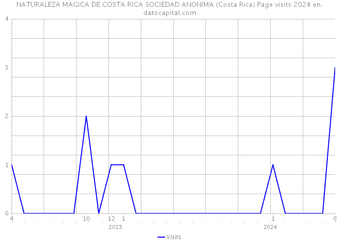 NATURALEZA MAGICA DE COSTA RICA SOCIEDAD ANONIMA (Costa Rica) Page visits 2024 