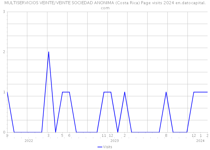 MULTISERVICIOS VEINTE/VEINTE SOCIEDAD ANONIMA (Costa Rica) Page visits 2024 