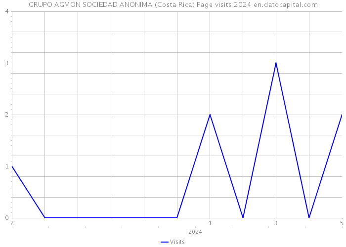 GRUPO AGMON SOCIEDAD ANONIMA (Costa Rica) Page visits 2024 