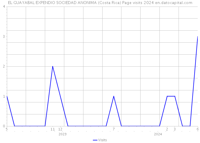 EL GUAYABAL EXPENDIO SOCIEDAD ANONIMA (Costa Rica) Page visits 2024 