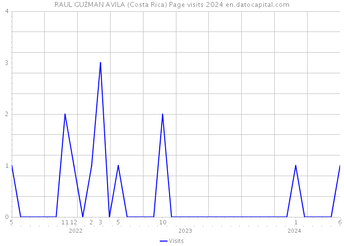 RAUL GUZMAN AVILA (Costa Rica) Page visits 2024 