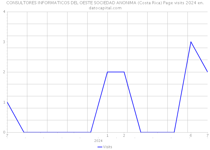 CONSULTORES INFORMATICOS DEL OESTE SOCIEDAD ANONIMA (Costa Rica) Page visits 2024 