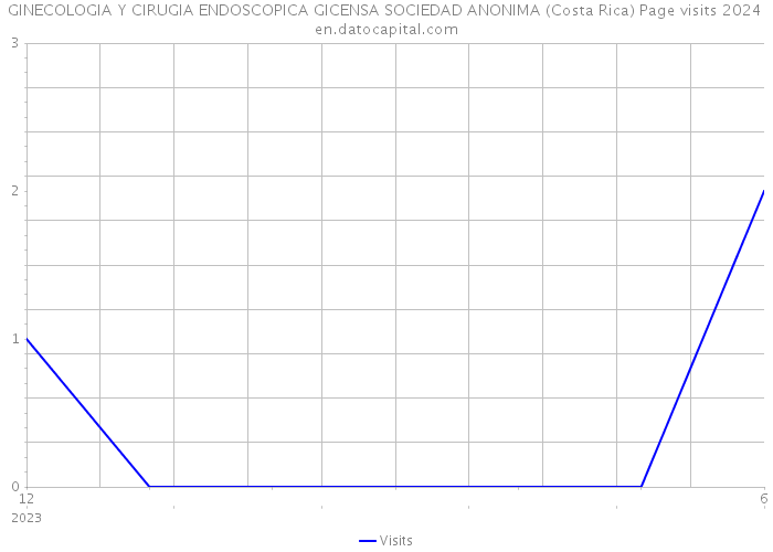 GINECOLOGIA Y CIRUGIA ENDOSCOPICA GICENSA SOCIEDAD ANONIMA (Costa Rica) Page visits 2024 
