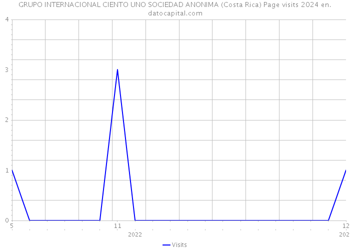 GRUPO INTERNACIONAL CIENTO UNO SOCIEDAD ANONIMA (Costa Rica) Page visits 2024 