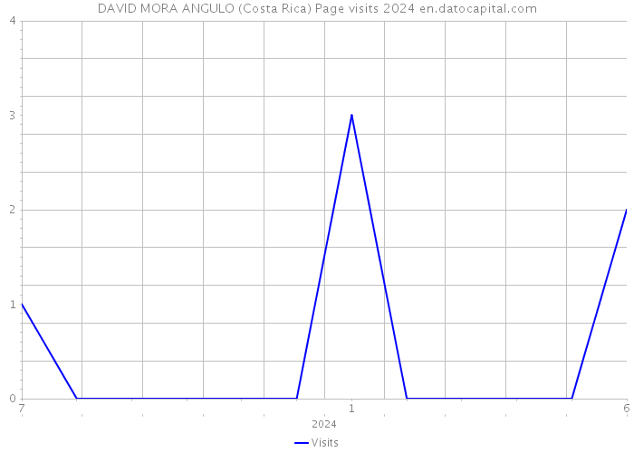 DAVID MORA ANGULO (Costa Rica) Page visits 2024 