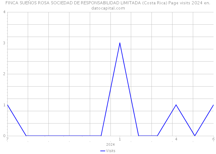 FINCA SUEŃOS ROSA SOCIEDAD DE RESPONSABILIDAD LIMITADA (Costa Rica) Page visits 2024 