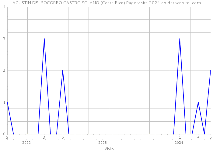 AGUSTIN DEL SOCORRO CASTRO SOLANO (Costa Rica) Page visits 2024 