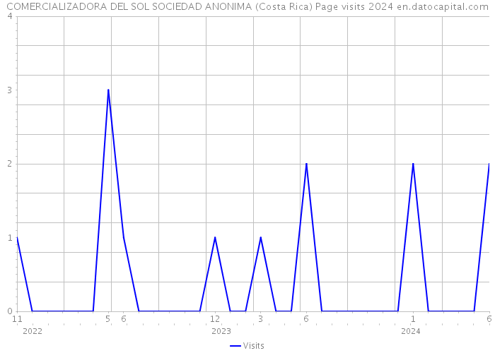 COMERCIALIZADORA DEL SOL SOCIEDAD ANONIMA (Costa Rica) Page visits 2024 