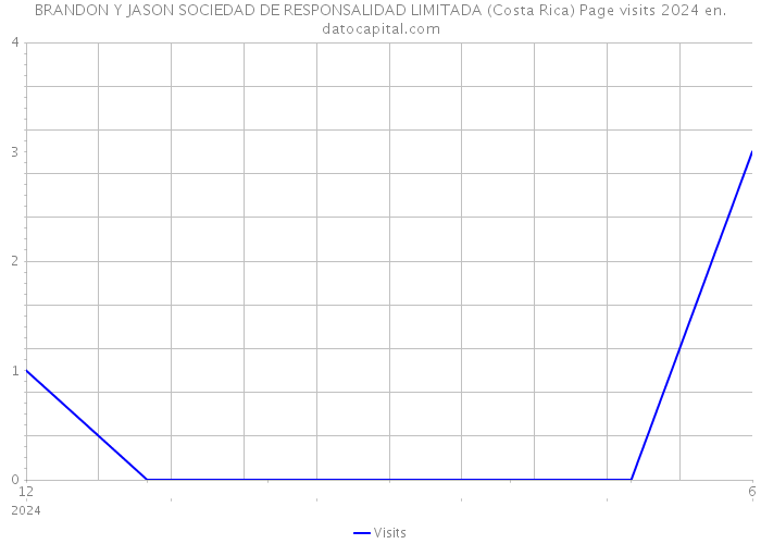 BRANDON Y JASON SOCIEDAD DE RESPONSALIDAD LIMITADA (Costa Rica) Page visits 2024 