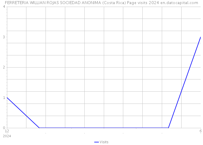 FERRETERIA WILLIAN ROJAS SOCIEDAD ANONIMA (Costa Rica) Page visits 2024 
