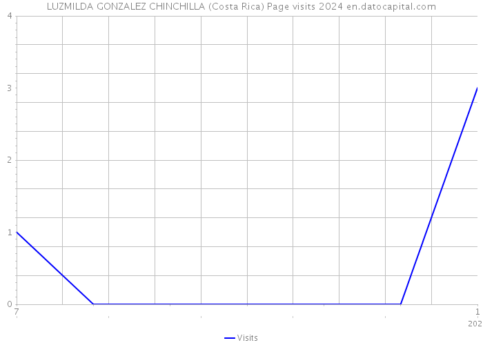 LUZMILDA GONZALEZ CHINCHILLA (Costa Rica) Page visits 2024 