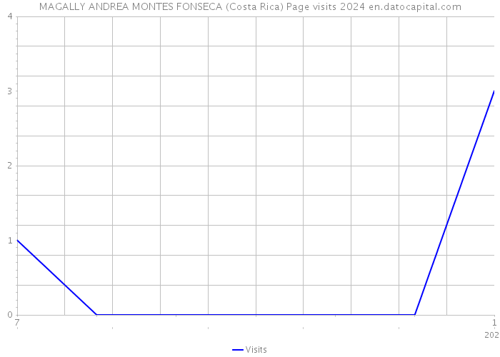 MAGALLY ANDREA MONTES FONSECA (Costa Rica) Page visits 2024 