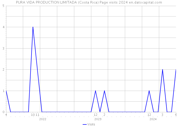 PURA VIDA PRODUCTION LIMITADA (Costa Rica) Page visits 2024 