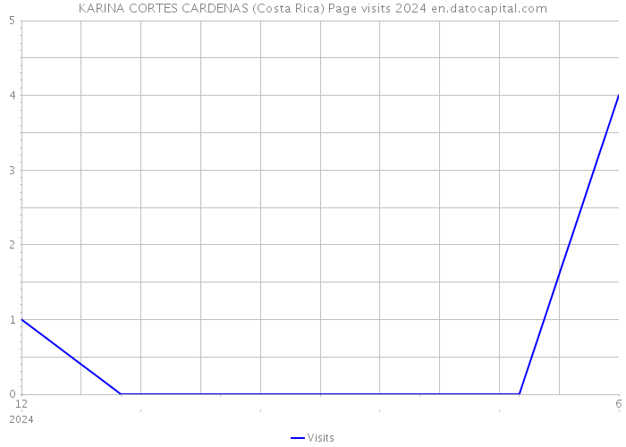 KARINA CORTES CARDENAS (Costa Rica) Page visits 2024 