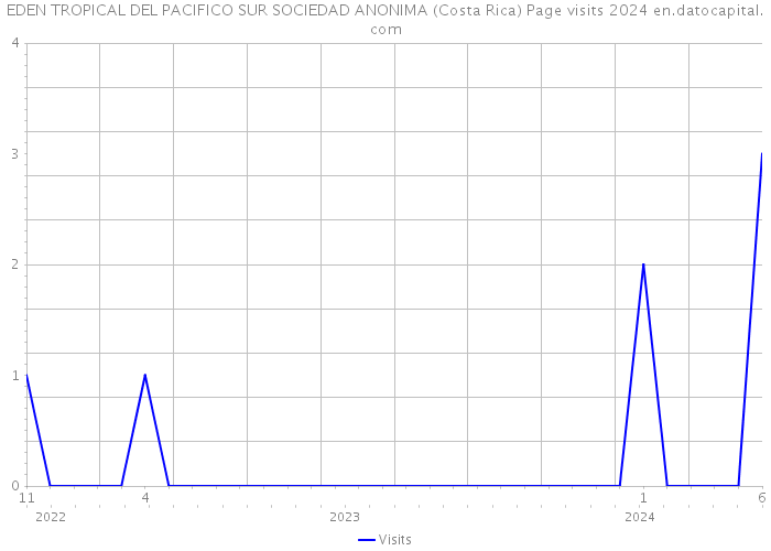 EDEN TROPICAL DEL PACIFICO SUR SOCIEDAD ANONIMA (Costa Rica) Page visits 2024 