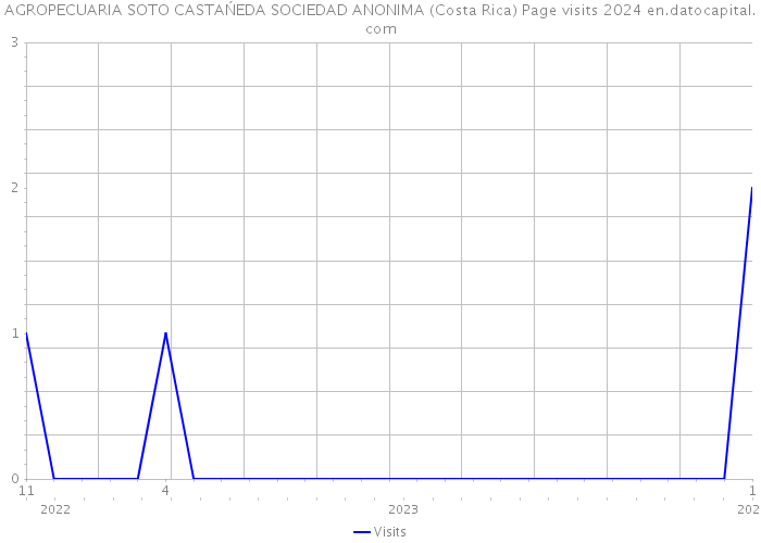 AGROPECUARIA SOTO CASTAŃEDA SOCIEDAD ANONIMA (Costa Rica) Page visits 2024 