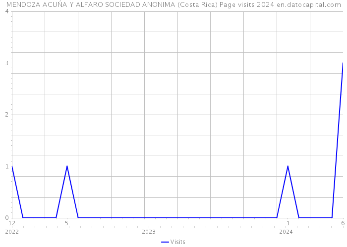 MENDOZA ACUŃA Y ALFARO SOCIEDAD ANONIMA (Costa Rica) Page visits 2024 