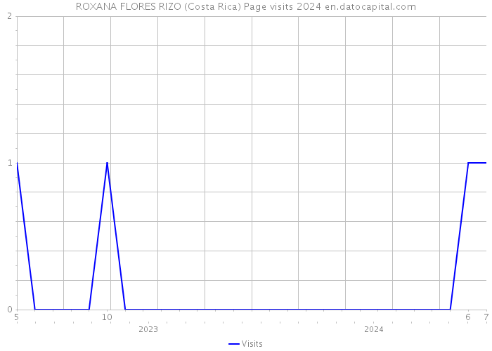 ROXANA FLORES RIZO (Costa Rica) Page visits 2024 