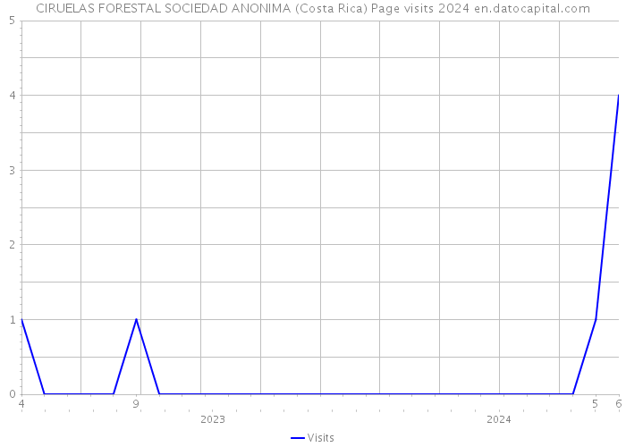CIRUELAS FORESTAL SOCIEDAD ANONIMA (Costa Rica) Page visits 2024 