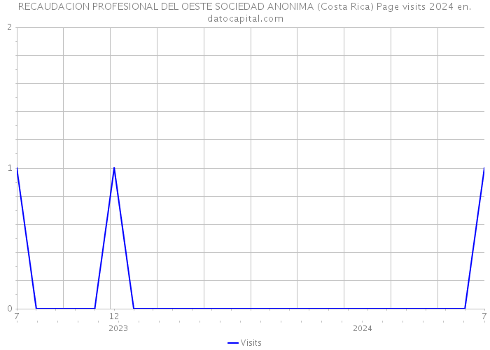 RECAUDACION PROFESIONAL DEL OESTE SOCIEDAD ANONIMA (Costa Rica) Page visits 2024 