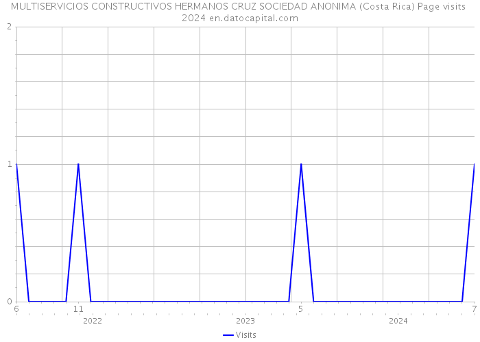 MULTISERVICIOS CONSTRUCTIVOS HERMANOS CRUZ SOCIEDAD ANONIMA (Costa Rica) Page visits 2024 