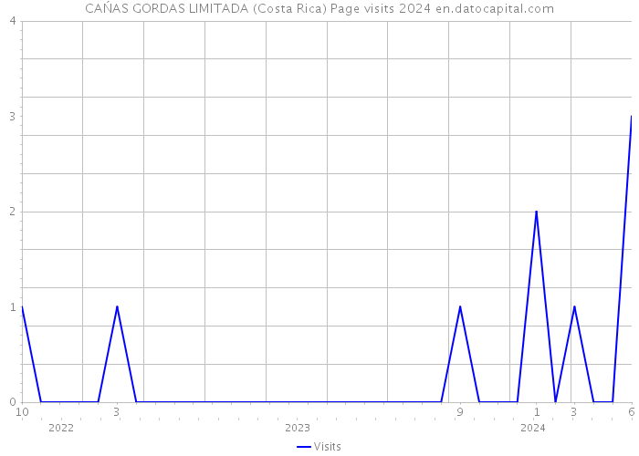 CAŃAS GORDAS LIMITADA (Costa Rica) Page visits 2024 