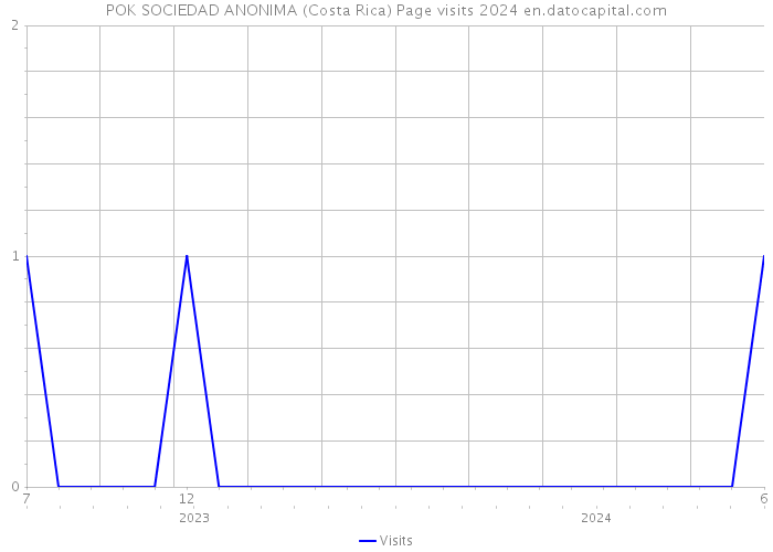 POK SOCIEDAD ANONIMA (Costa Rica) Page visits 2024 