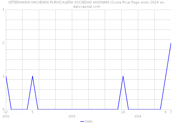 VETERINARIA HACIENDA PURISCALEŃA SOCIEDAD ANONIMA (Costa Rica) Page visits 2024 