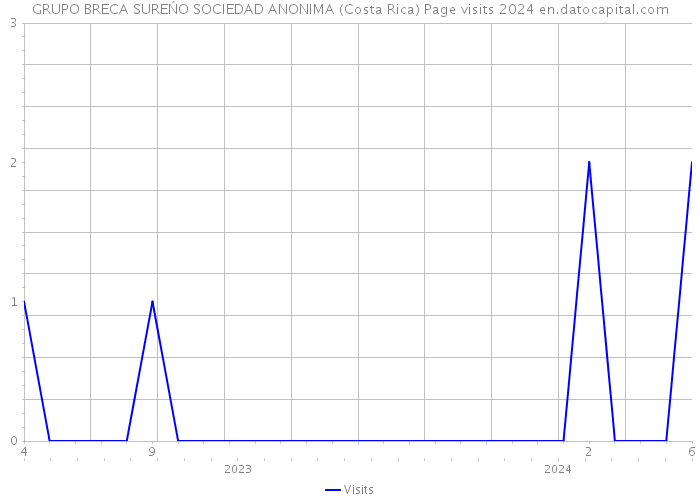 GRUPO BRECA SUREŃO SOCIEDAD ANONIMA (Costa Rica) Page visits 2024 