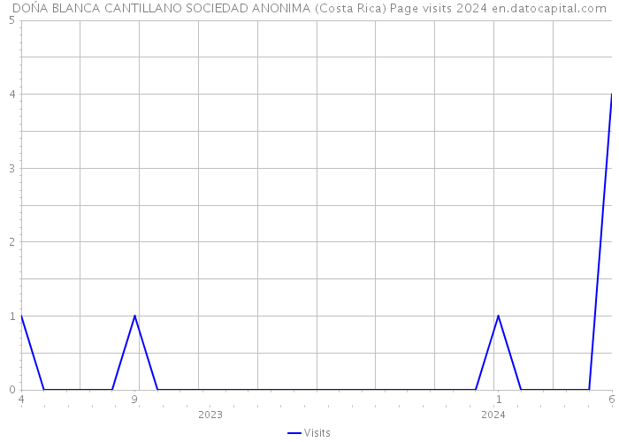 DOŃA BLANCA CANTILLANO SOCIEDAD ANONIMA (Costa Rica) Page visits 2024 