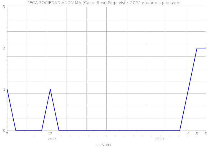 PECA SOCIEDAD ANONIMA (Costa Rica) Page visits 2024 
