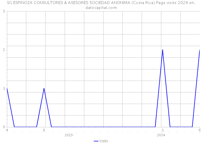 SG ESPINOZA CONSULTORES & ASESORES SOCIEDAD ANONIMA (Costa Rica) Page visits 2024 