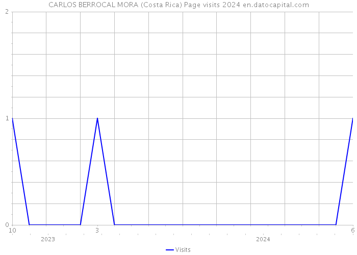 CARLOS BERROCAL MORA (Costa Rica) Page visits 2024 