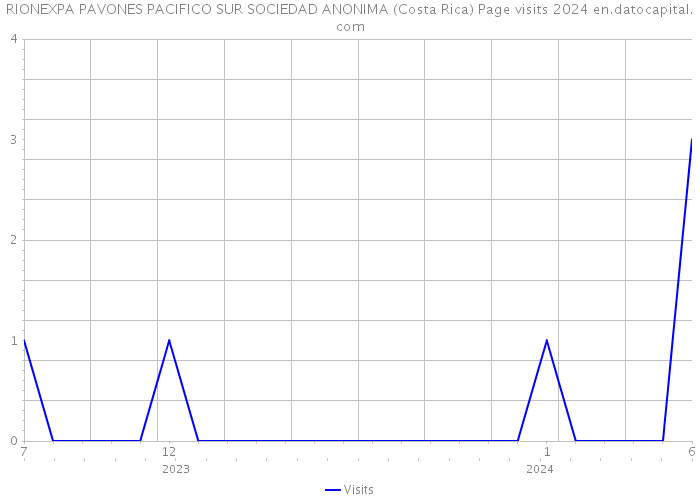RIONEXPA PAVONES PACIFICO SUR SOCIEDAD ANONIMA (Costa Rica) Page visits 2024 