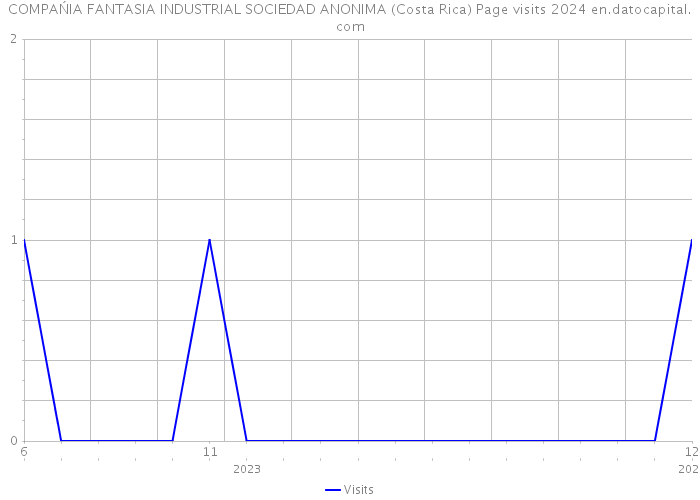 COMPAŃIA FANTASIA INDUSTRIAL SOCIEDAD ANONIMA (Costa Rica) Page visits 2024 