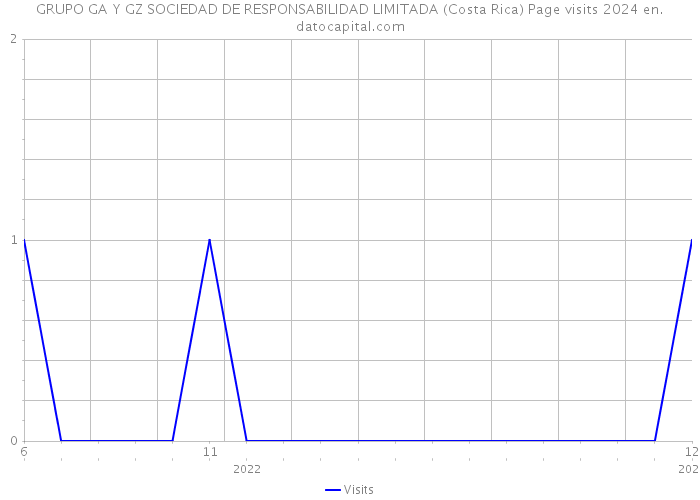 GRUPO GA Y GZ SOCIEDAD DE RESPONSABILIDAD LIMITADA (Costa Rica) Page visits 2024 