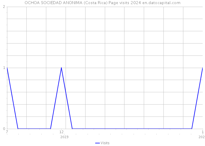 OCHOA SOCIEDAD ANONIMA (Costa Rica) Page visits 2024 