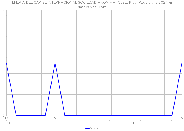 TENERIA DEL CARIBE INTERNACIONAL SOCIEDAD ANONIMA (Costa Rica) Page visits 2024 