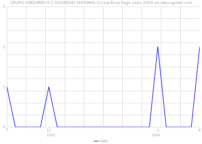 GRUPO ASESORES H G SOCIEDAD ANONIMA (Costa Rica) Page visits 2024 