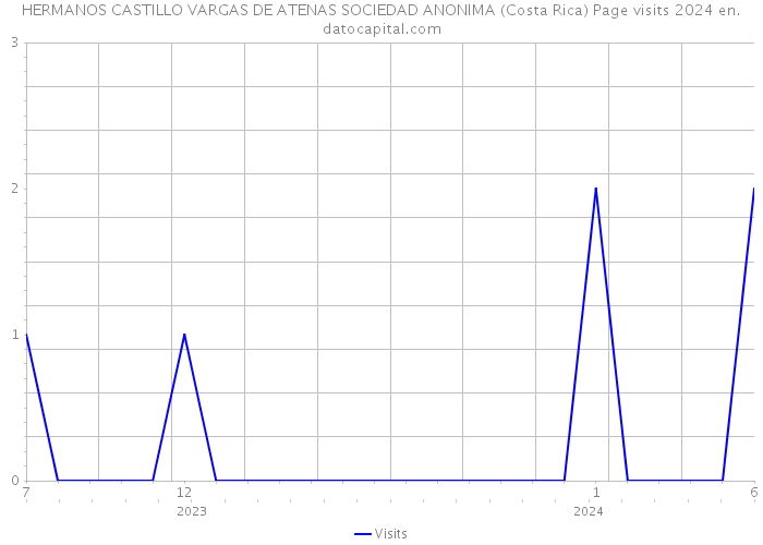 HERMANOS CASTILLO VARGAS DE ATENAS SOCIEDAD ANONIMA (Costa Rica) Page visits 2024 
