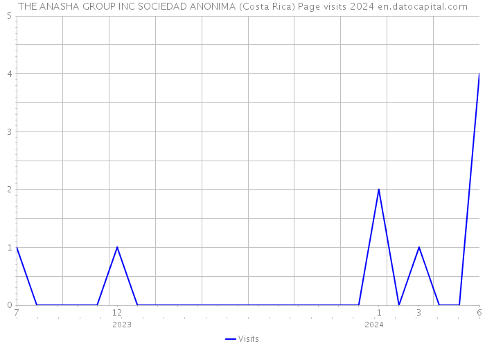 THE ANASHA GROUP INC SOCIEDAD ANONIMA (Costa Rica) Page visits 2024 