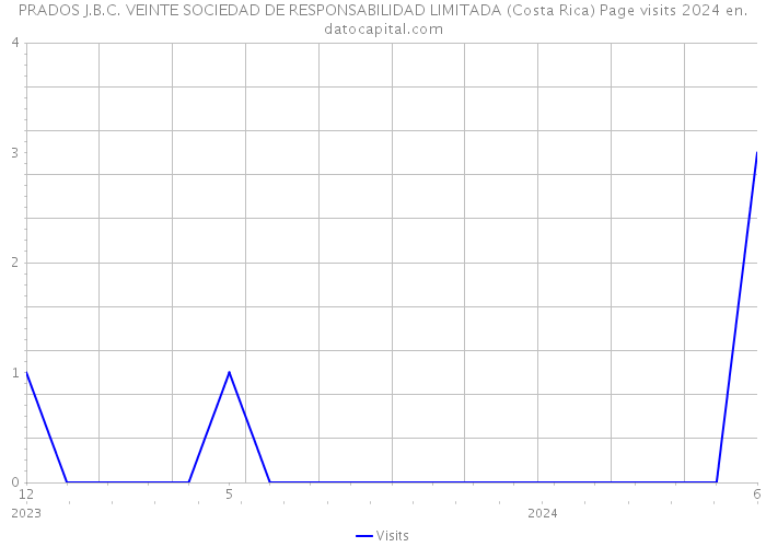 PRADOS J.B.C. VEINTE SOCIEDAD DE RESPONSABILIDAD LIMITADA (Costa Rica) Page visits 2024 