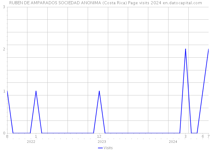 RUBEN DE AMPARADOS SOCIEDAD ANONIMA (Costa Rica) Page visits 2024 