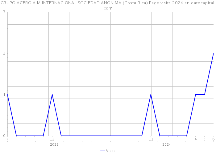 GRUPO ACERO A M INTERNACIONAL SOCIEDAD ANONIMA (Costa Rica) Page visits 2024 