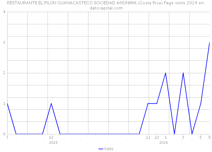 RESTAURANTE EL PILON GUANACASTECO SOCIEDAD ANONIMA (Costa Rica) Page visits 2024 