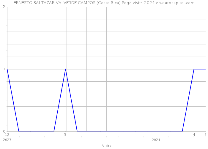 ERNESTO BALTAZAR VALVERDE CAMPOS (Costa Rica) Page visits 2024 