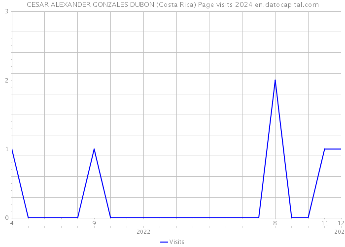 CESAR ALEXANDER GONZALES DUBON (Costa Rica) Page visits 2024 